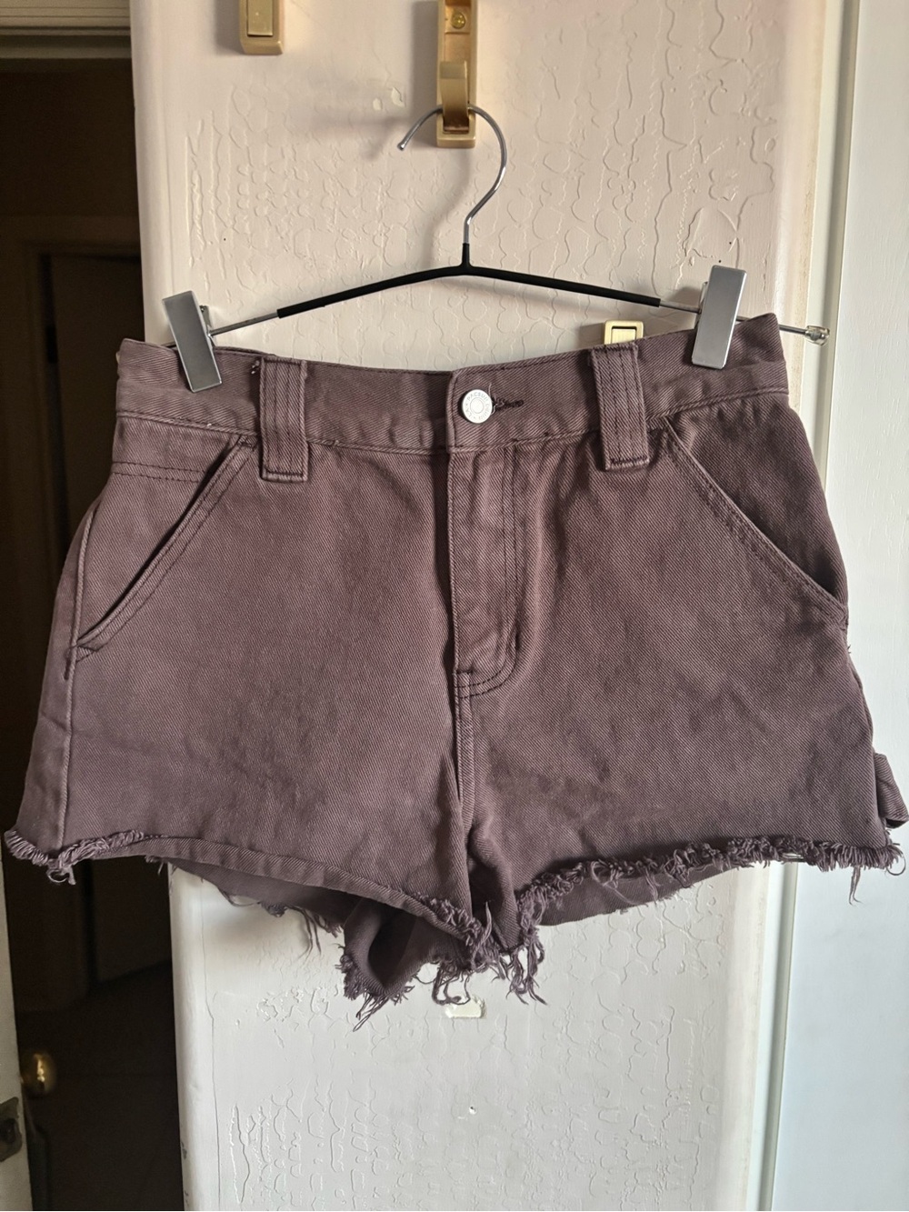 EUC PacSun Women’s Frayed Hem Shorts in Muted Mauve, Size 25